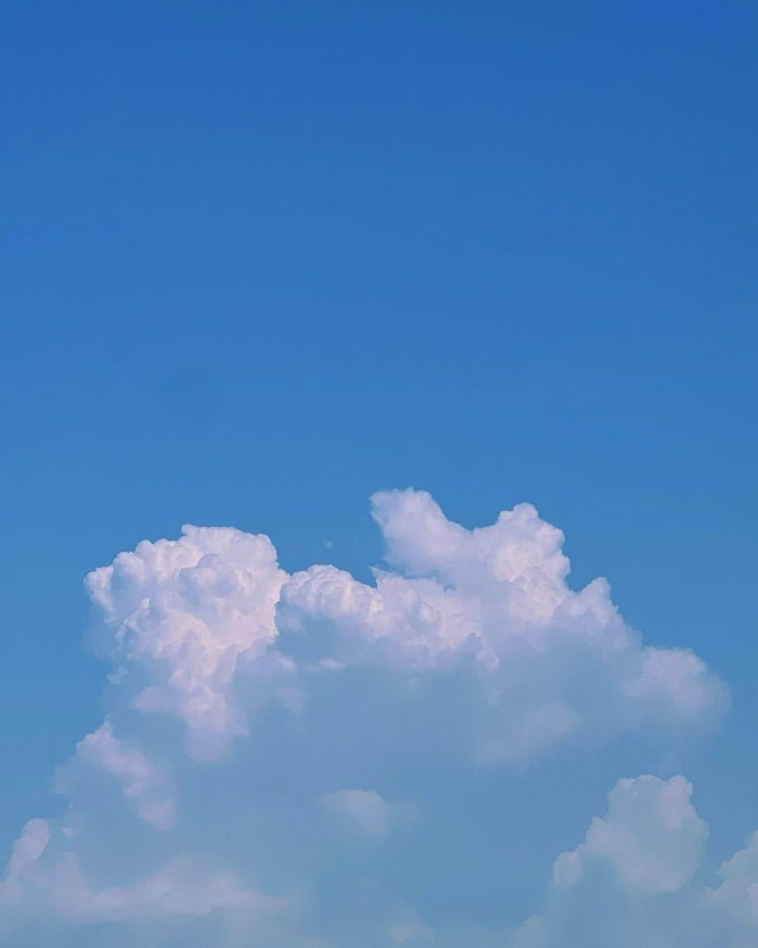 本田真凜のインスタグラム：「☁️」