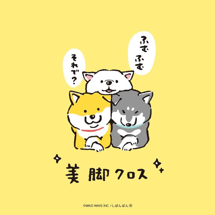 オオゴシヤステルのインスタグラム