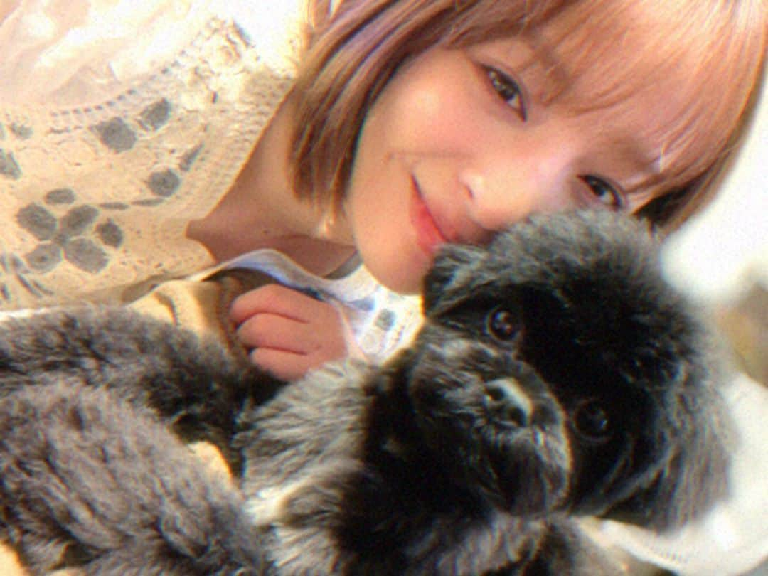 神部美咲のインスタグラム：「先日みみちゃんの 3歳のお誕生日でした🐶💞🎂  お姉ちゃんになりました😘」