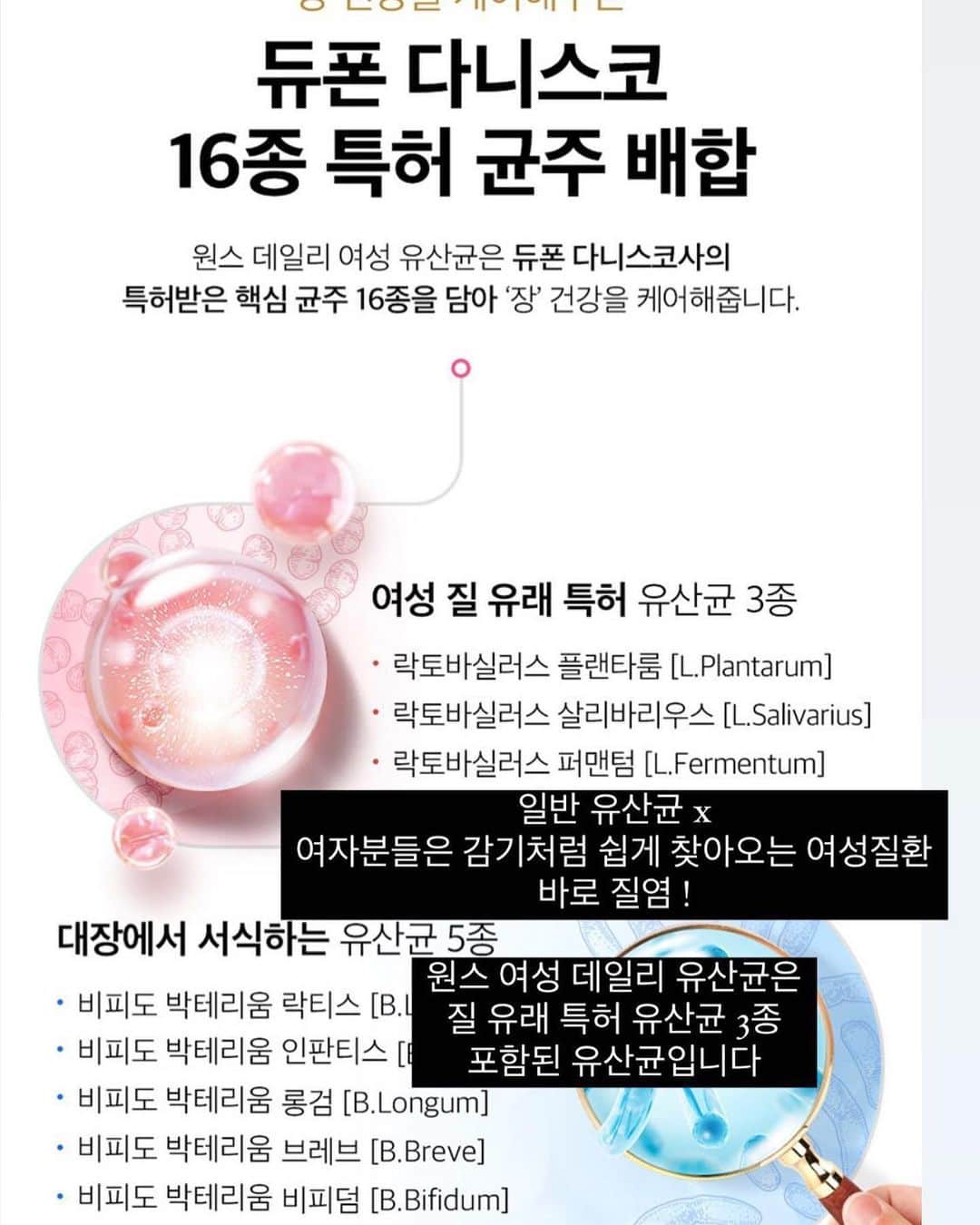 キム・ウンジュさんのインスタグラム写真 - (キム・ウンジュInstagram)「#공구마감안내 7년 연속 미국 유산균 1위 🥇 해외직구 유산균으로 정말 유명템이였는데 직구보다 더 저렴한 가격으로 정식 수입되었어요😎 원스 데일리 유산균은 내일 마감입니다 ! 올해 마지막공구이니 마지막 할인혜택 놓치지마세요✨  장 건강을 위한 아침 습관은 따뜻한 물 한잔 + 원스 데일리 유산균 한알이에요!   원스 데일리 유산균은 장마이크로바이옴 전문 의학박사가 직접 계발한 유산균입니다  장 건강은 물론 여자들은 감기 처럼 쉽게 걸리는 바로 질염! ✨질 유래 특허 ✨ 유산균 3종 포함되어있어 원스 데일리 유산균 한알이면 식품의약품안전처 고시 기준 최대량인  100억 CFU 프로바이오틱스를 섭취하는거에요 !️  눈 뜨자마자 공복에 하루 한번 섭취만으로도 유해균은 억제되고  유익균 증식에 도움을 주어 장 건강에 도움이 됩니다☺  후기가 보증해주는 원스 데일리 유산균 직구보다 더 저렴한 가격으로 만나보세요」10月11日 19時49分 - eun_ju__