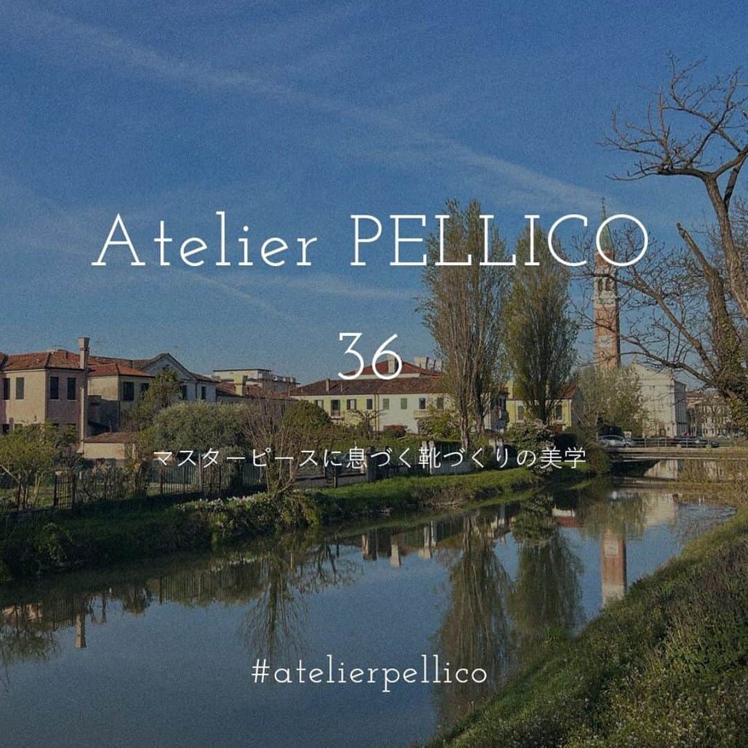 のインスタグラム：「Atelier PELLICO 36  素材・デザイン・履き心地の良さ。 そしてイタリアならではの美しい色使い。 職人の優れた技術が生み出す、 PELLICOの魅力。  "マスターピースに息づく靴づくりの美学" PELLICOのシューズが“走れるパンプス”と言われ、 その抜群の履き心地に多くの女性から 共感を得ているのには　いくつかの理由があります。  自社工房を構えるイタリアのパドヴァは 上質な素材を生み出すタンナーをはじめ、 木型やヒール、ソールといったパーツごとの 専門工場が点在し、古くから受け継がれてきた 伝統と文化が残る靴の一大産地。  PELLICOのシューズは、靴づくりのすべての工程において高い水準を満たすこの地で、 「メイド・イン・イタリー」のクオリティにこだわり、 熟練の職人たちが一足ずつ丁寧に作り上げています。」