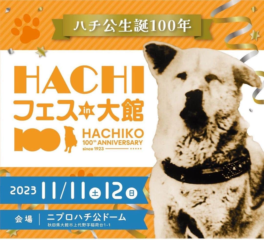 真飛聖のインスタグラム：「お知らせです✨  ハチ公生誕100年✨ 『HACHI フェス in 大館』が 11月11・12日の2日間、 秋田県大館市のニプロハチ公ドームで開催されます🐕  私は12日に 『HACHI100スペシャルトークショー』に 照英さんと、 出演させていただきます🎤  詳しい情報などは また改めてお知らせさせていただきますが、皆さん、ご都合が合えば、 ぜひぜひ会いに来てくださいませ〜♡  こちらの公式サイトもみていただければと思います。  https://hachifes-odate.jp  秋田犬、、、大好きなので私も楽しみです♡  #秋田県#大館市 #ハチ公生誕100年 #HACHIフェスin大館 #秋田犬 #大館市観光大使」