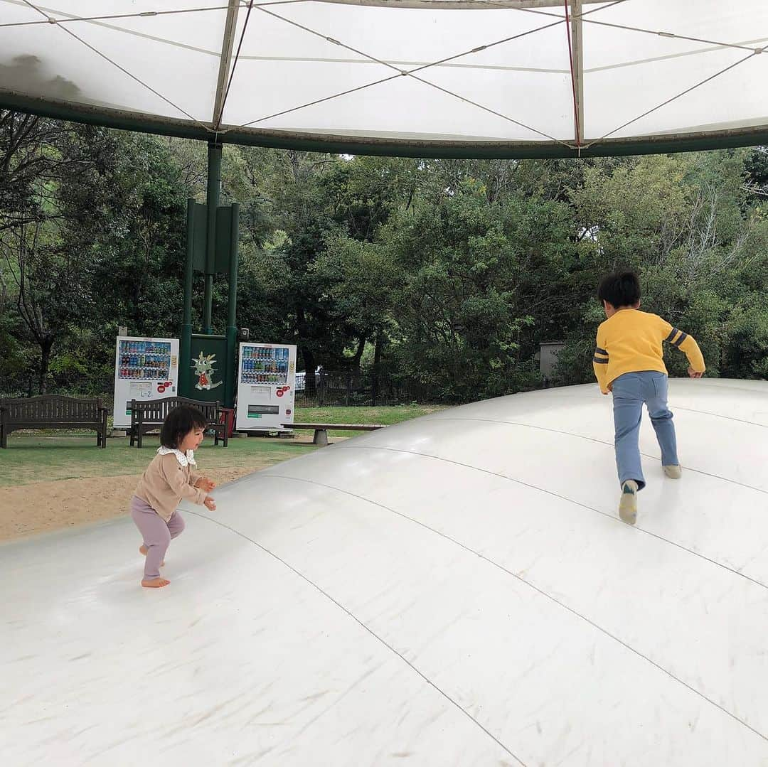 中野美奈子さんのインスタグラム写真 - (中野美奈子Instagram)「先日、讃岐まんのう公園のアウトドアイベントで、丸亀市の住みます芸人“大木亀丸さん”にばったりお会いしました！  亀丸さんの市内での遭遇率かなり高いです！ お城の人力車でも有名ですが、各所のイベントで丸亀市のために盛り上げてくれてますよ〜。  今週末15日、16日はグルーン丸亀で、うちわ作りのイベントされるそうです！ （日曜日はすでに満員）  秋はお休みが多くてイベント盛りだくさん✏️ さて、我が家はこの週末は何をしようかなぁ。  亀丸さん、またお会いしましょう〜。  @hansukeooki  #丸亀市 #住みます芸人  #丸亀城 #人力車のお兄さん   #同い年 #こどもたちの人気者  #讃岐まんのう公園  #ハンバーガーが気になる2歳 #食欲の秋ですね  #中野美奈子」10月11日 21時22分 - minako_nakano.official