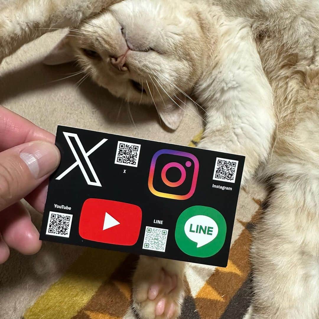 飯田カヅキさんのインスタグラム写真 - (飯田カヅキInstagram)「strange world's end、 SNSやYouTubeに簡単にアクセス出来るカードが出来ました。今後のライブで物販に置いておくので気軽に持っていってくださいね。俺個人的にはQRコードを11個載せたかったんだけど、選んで読み込むのが大変困難な為、却下になりました。   #strangeworldsend #ストレンジワールズエンド #飯田カヅキ #kazukiiida #平マサト #masatotaira #フルカワリュウイチ #ryuichifurukawa #band #バンド #ミュージシャン #musician #x #twitter #instagram #youtube #line #sns #card #qrcode #qrコード #tirol_neko #猫 #cat」10月11日 21時23分 - kazukiiida_strange