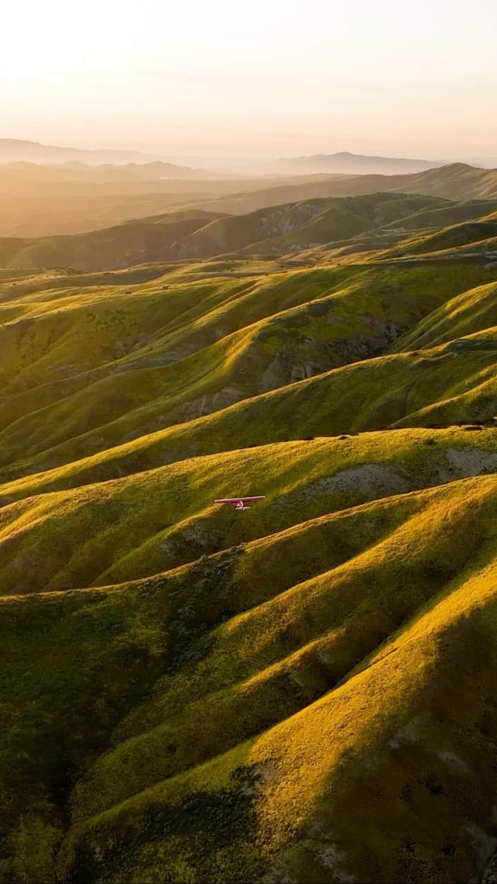 クリス・バーカードのインスタグラム：「Just as winter rains in California kept flooding the state with water levels we hadn’t seen for over 30 years, a silver lining in the form of wildflowers came a little closer with each storm as if the chaos had beauty in store for us with the change in weather. Such an explosion of colorful wildflowers marked a special part of the year and turned into an amazing assignment for @natgeo to document the phenomenon surrounding Carrizo plains and the New Cuyama valley… funny enough as I’m on my way to the Sierra Nevadas to kick off another editorial assignment… can’t wait to share more」