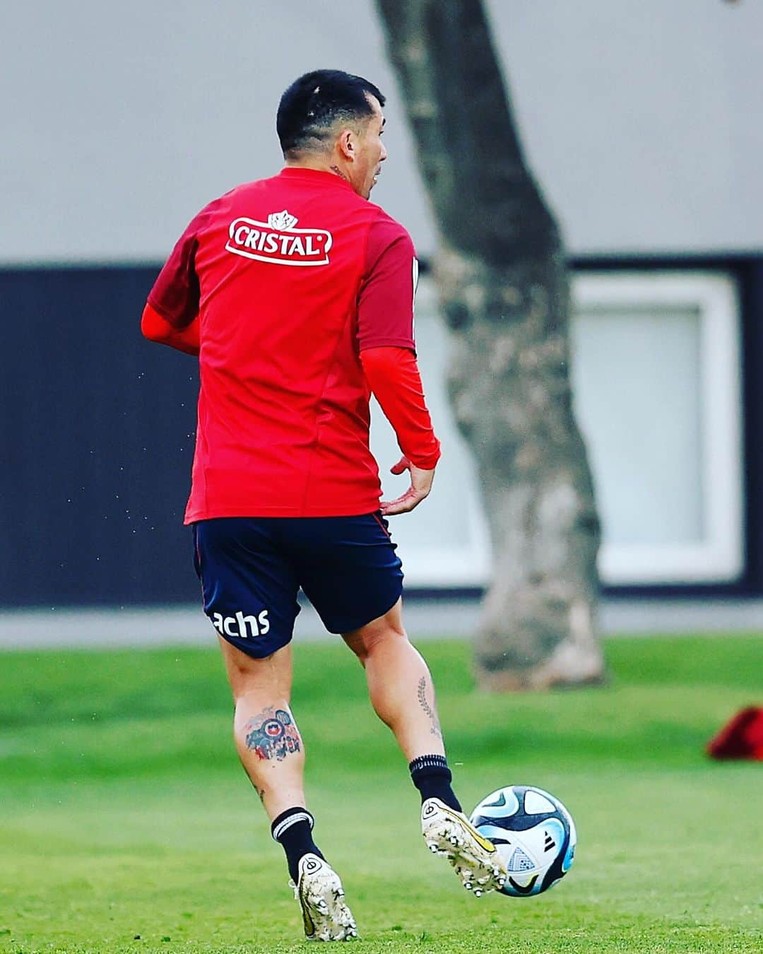 ガリー・メデルさんのインスタグラム写真 - (ガリー・メデルInstagram)「💪🏼❤️🇨🇱⚽️🙏🏼」10月11日 22時30分 - gary_medel17