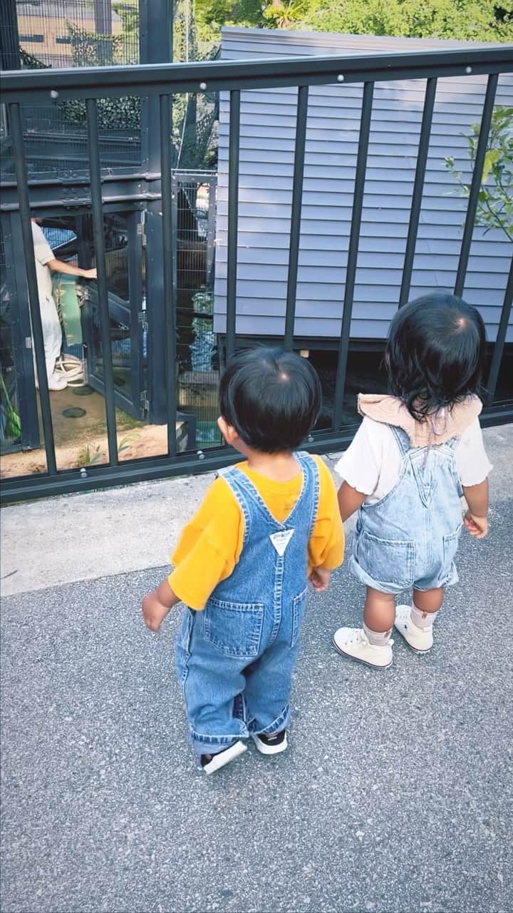 𝙼𝚒𝚑𝚘𝚛𝚊𝚊𝚊のインスタグラム：「那覇までかぞくりょこう🫶🏾 乗り物がだいすきな然は飛行機に大興奮 飛行場ではたらく車もだいすきでテンションあがってた✈︎  はじめての動物園にも興味津々🐘🦧🐊  りまちいつも遊んでくれてありがとう🤍  #沖縄 #こどもの国 #1歳半」