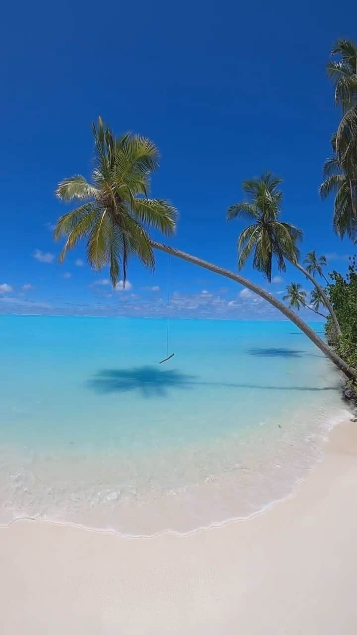 Maldivesのインスタグラム：「Maldives Islands - Escape to Paradise.  Connect with us @nichegetaways to book your vacation in the Maldives.   🎥 @maldivestribes   #nichegetaways #maldivesislands #travelinspiration #islandvacations #traveltheworld #fivestarresort #lagoon #beachresort #мальдивы #wanderlust #beaches #islandgetaway #beachresort #beachvibes #vacation #seasideresort #beachday」