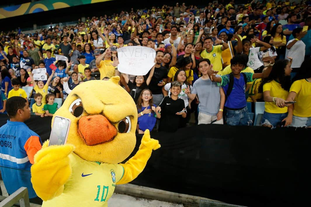 サッカー ブラジル代表チームさんのインスタグラム写真 - (サッカー ブラジル代表チームInstagram)「Fernando Diniz comanda primeiro treino com bola da Seleção Brasileira visando as Eliminatórias. Mais de 6 mil crianças de escolas e ONGs acompanharam o treinamento na Arena Pantanal. 🇧🇷⚽ #SeleçãoBrasileira #TreinoCuiabá  📸: @foto_vitorsilva / CBF」10月11日 22時51分 - cbf_futebol