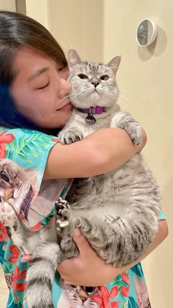 のインスタグラム：「🐾 Embrace Their Pet’s Pawsonality! 🌺 We customized aloha shirt from Noble Pawtrait with Nala’s adorable face is a true masterpiece! 💖 Not only is it incredibly comfy, but the print quality is paw-sitively amazing! 🌟 You can customize your own shirt with you pet’s photo at @noblepawtrait_ ⭐️Use code Nala10 for 10% off ⚡️ 💕 #NoblePawtrait #PetPortraitFashion #FurryFriendLove #ad」