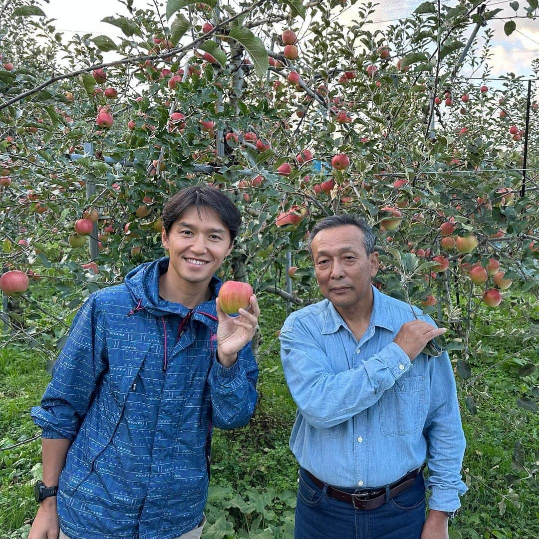 山中真のインスタグラム：「・ りんごが関西でも 栽培されてたなんて。  そしてこんなに 甘くて美味しかったなんて！  大量生産、出荷用ではなくて りんご狩りでその場で食べて 美味しい、を最優先に かじりやすく甘いりんごを 育てています。  木に山盛り実ってる りんご農園は そこに身を置くだけでも 心地いい空間でした♪  近くのペンション&カフェには 絶品りんごスイーツがあるので 行く時は合わせて是非！  #mbs #よんチャンtv  #毎日生中継 #山ちゃん中継 #神鍋亭りんご園 #神鍋スイート #ペンションポムアンナ」