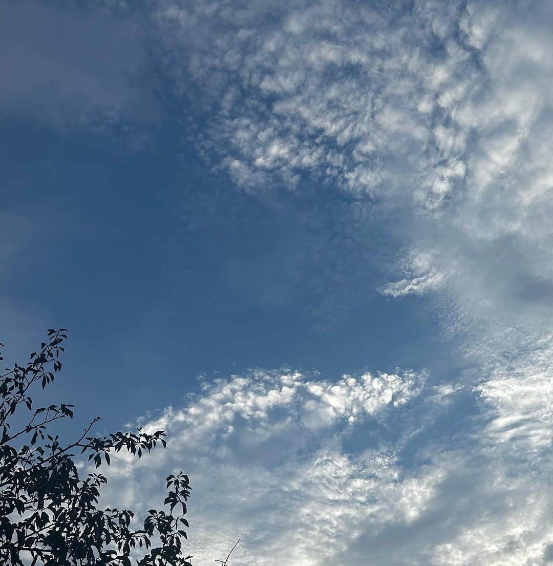 前田真里さんのインスタグラム写真 - (前田真里Instagram)「#sky #やさしい光 につつまれて🍀 #nagasaki #japan」10月11日 23時19分 - maedamari