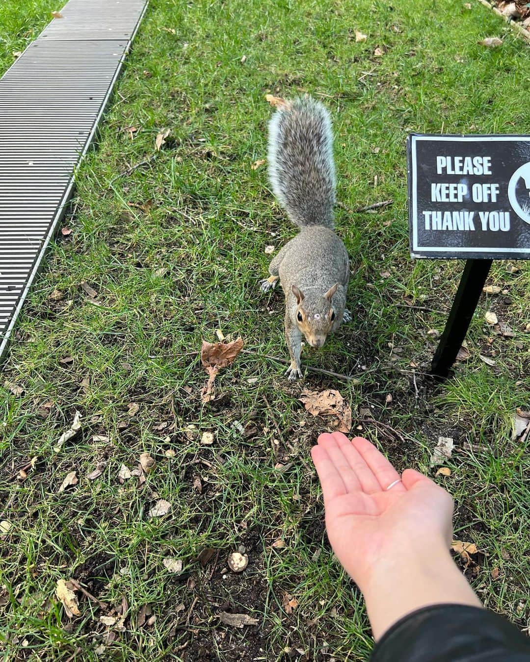 ダヨンのインスタグラム：「다람쥐 귀여워 근데 그거 네 도토리 아니잖아  다람쥐2 꺼잖아」