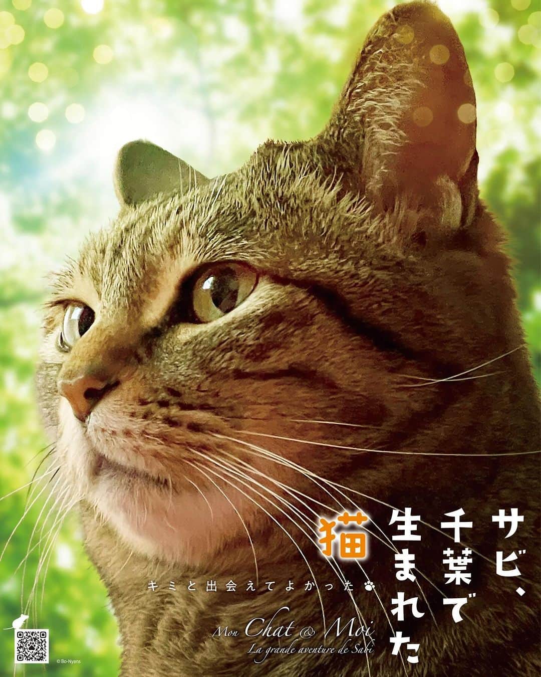 田中要次のインスタグラム：「本日のポスターは『サビ、千葉で生まれた猫』です！映画『ルー、パリで生まれた猫』の感想コメントXキャンペーンで ”あなたの大切なネコ”のポスターを作って貰えるチャンスが あるよっ！10/31まで！ #ルーパリで生まれた猫 #映画館でパリ猫ルー #猫Sabi #Bo_nyans #猫のいる暮らし」