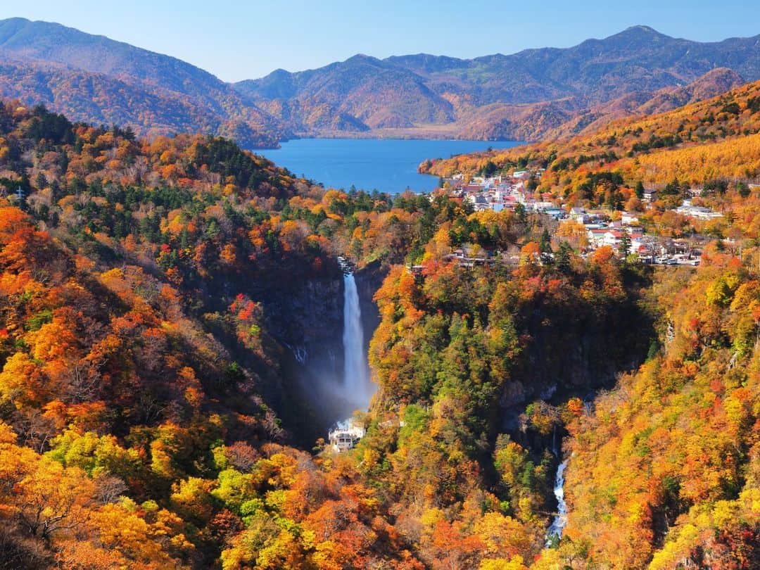 日本の国立公園のインスタグラム：「Nature paints the national parks in glorious shades of red, orange, and gold in autumn. It's the perfect season for hiking and exploring. 🍁  See the magic of Japan's national parks in fall at the link in the bio!   #Japan #Travel #Tourism #ExploreJapan #DiscoverJapan #VisitJapan #NikkoNationalPark #AsoKujuNationalPark #MyokoTogakushiRenzanNationalPark #Tochigi #Nikko #LakeChuzenji #KegonFalls #IdaPlateau #Oita #Kuju #Niigata #Myoko #NaenaFalls #JapaneseAutumn #Hiking #Waterfalls #AdventureTravel #NationalPark #NationalParksJP #日本 #国立公園」