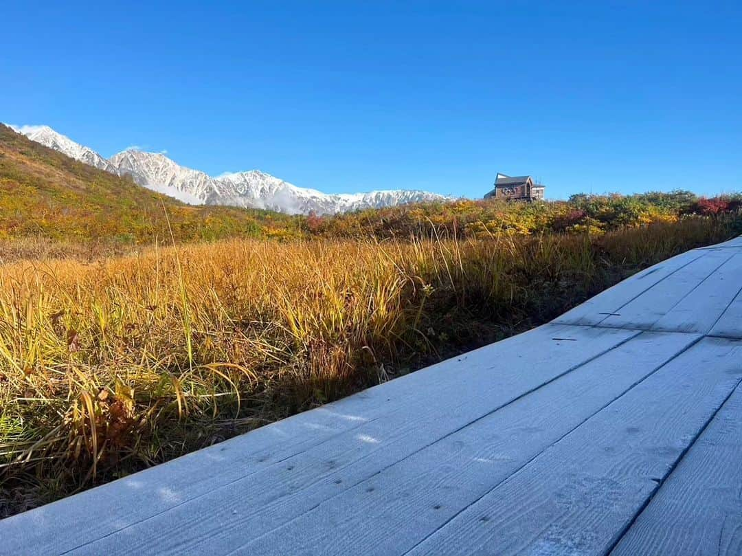 白馬八方尾根スキー場のインスタグラム：「白馬三山もすっかり雪化粧しました❄ 紅葉は見頃ですが、とても寒いので防寒着をお忘れなく！  #hakuba #happo #白馬 #八方尾根 #夏  #グリーンシーズン #八方池 #高山植物 #絶景 #白馬三山 #花 #かわいい #八方尾根自然研究路 #カラフル #八方アルペンライン #山 #山の日 #秋 #紅葉」