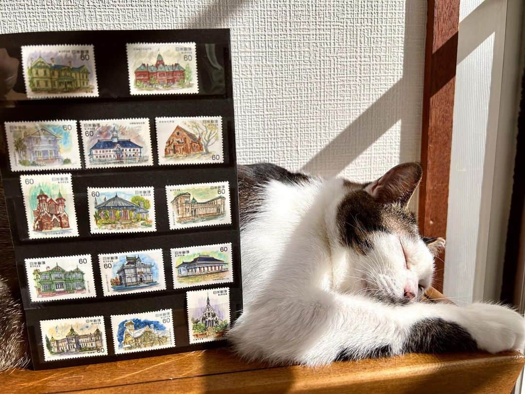 八、おこめのインスタグラム：「近代洋風建築シリーズ⛪️ 1981〜84(昭和56~59) 古い建築物も好きなのです❣️ あと6枚どこいったかな？ #宇野の切手コレクション #猫と切手 #切手は小さな絵画 #切手 #切手収集 #日本の切手 #日本切手 #切手コレクション #八おこめ #cat #ねこ #猫 #ネコ」
