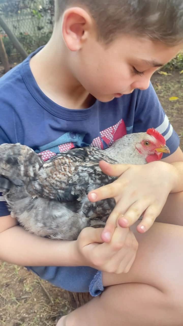 のインスタグラム：「O coração da mãe fica como com uma cena dessa??? ❤️ Como eu vejo o Alezinho parecido comigo em alguns momentos. O carinho com os animais 🐓 🐇e o jeito cuidadoso com eles me mostram que mais do que falar, precisamos mostrar como se faz com atitudes. É assim que o meu guri vem aprendendo. Amor da mãe!!! Eu tenho muito orgulho dele. Amo os nossos momentos juntos!!!   #maeefilho #familia #home #amor」