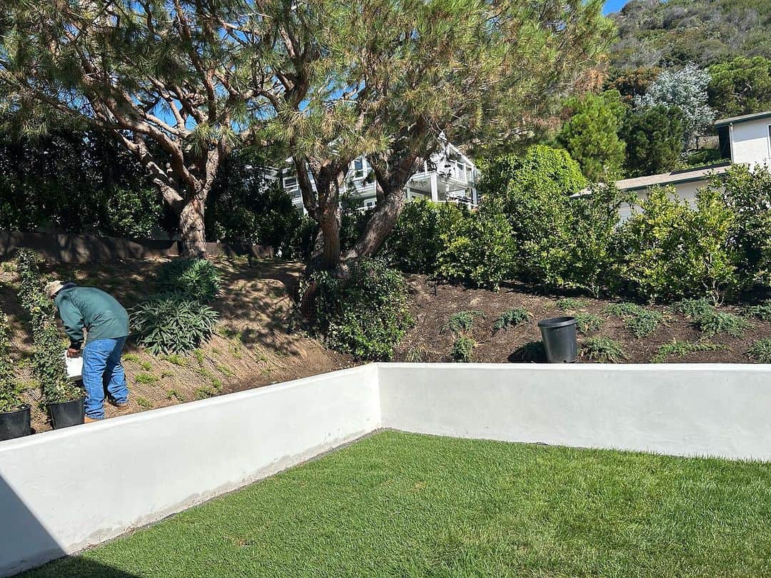 マシュー・ペリーのインスタグラム：「Why can Elon Musk send a woman to the moon and not be able to invent a silent leaf blower?」