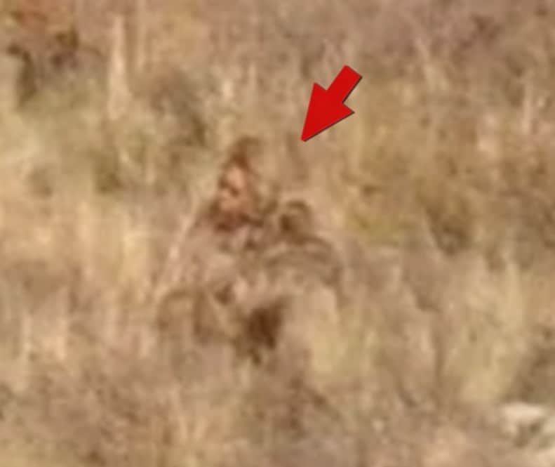 ブライス・ジョンソンさんのインスタグラム写真 - (ブライス・ジョンソンInstagram)「WE’RE BACK!!! Expedition Bigfoot ALASKA 🏔️ is back on 📺 TONIGHT at 10pm only on the @discovery channel! Don’t miss it!  Plus, did you guys see this?! A couple from a train in Colorado filmed ‘something’ walking around in the middle of nowhere. Sound off 📢  I wanna hear what you guys think. Is this a Bigfoot? Comment below 👇🏼 👹 . . . #expedetionbigfoot #expeditionbigfootseason4 #expeditionbigfootalaska #bigfootsighting #bigfoot #sasquatch #bigfootsightingincolorado」10月12日 2時51分 - mrbrycejohnson