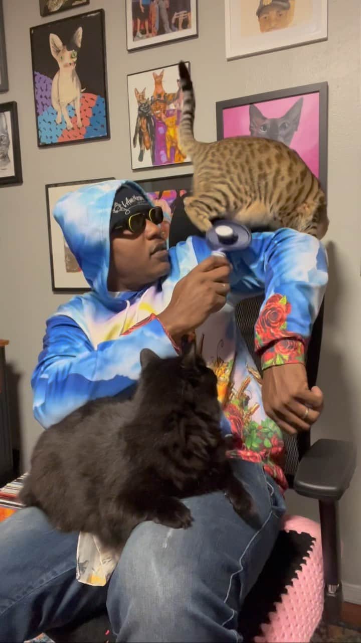 のインスタグラム：「Got a lot going on in my mind, I’m not really sure what’s going on in this world. I just try to mind my business and stay in my own little happy world. I want y’all to know I’m always thinking about YOU and that I care about you. Thanks for loving your cats and I hope everyone is trying to have a good days. Just know.. that you are LOVED. Take care ❤️ #ASMR #TheCatRapper #CatMan #Zen #Calm #Meditation #CatDad #MoGang」