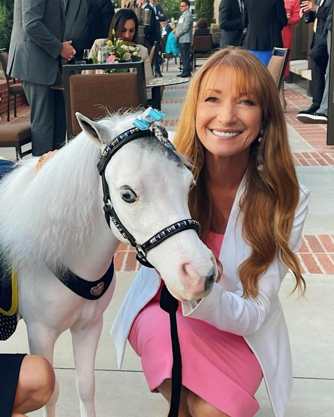 ジェーン・シーモアのインスタグラム：「Have you seen anything more precious than a tiny horse with a little blue ribbon? 🥹💙 @tgskier and I are enjoying our time with our new friend, Blue Moon! 🐴」