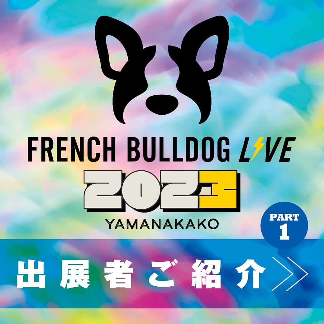 French Bulldog Lifeのインスタグラム