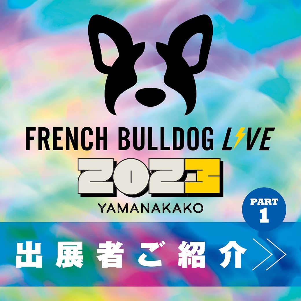 French Bulldog Lifeのインスタグラム：「【フレブルLIVE 出展者情報①⚡️】 フレブルLIVEに出展する約150店舗のなかから、キラリと光るショップをご紹介！ ------------------- ⚡️by.PULLER  ウクライナ生まれのドッグスポーツブランドby.PULLER。 PULLER(プラー)をはじめとするトイや、ウェア、首輪・リード等のアイテムを販売。 代表自身もフレブルオーナーなので、フレブルにおすすめな商品が沢山！ @by.puller   ⚡️BIG BULL BOSS 大阪南堀江にあるBUHIの洋服店。 ストリート系の洋服を中心にBUHI雑貨もありますよ。 採寸してピッタリの洋服もオーダーできるので、ぜひ遊びに行ってみてくださいね。 @bigbullboss.b.b.b   ⚡️Chick&Can 鼻ぺちゃなブヒのためのロンパース『ぺちゃまスーツ』。 オンリーワン体型の愛ブヒサイズに合わせて、一枚一枚丁寧に仕立てています！ @chick_can_kingcharles   ⚡️OSOTO・ピュアクリスタル 電車等のお出かけにオススメな軽くて丈夫なキャリーと、いつでもキレイなお水を愛ブヒに届けるフィルター式給水器「ピュアクリスタル」を展示・販売中！ @gex_dogcat  -------------------  ★フレブルLIVEの事前チケットご購入は「10/15(日)」まで！  #フレブルLIVE行くよ #フレブルLIVE」