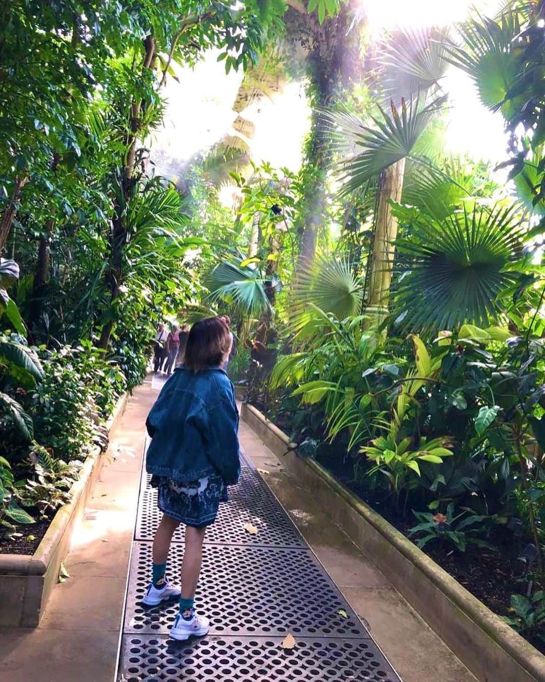 京佳さんのインスタグラム写真 - (京佳Instagram)「日本のテレビで観たことあって 行ってみたかったKew gardens 🌴💚 素敵なエナジーをいただきました🫧」10月12日 4時25分 - kyouka_1202