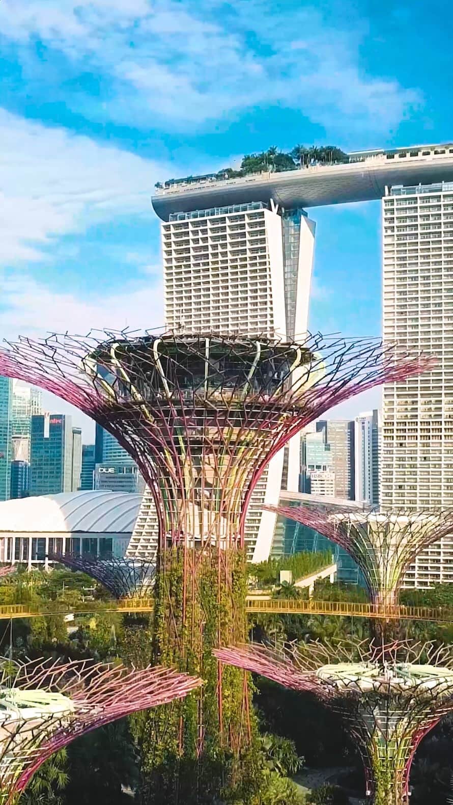 PicLab™ Sayingsのインスタグラム：「The Supertrees in Gardens by the Bay have us in disbelief. 🌳🤩 Share this with the person you love to travel with most. Postcards from: Singapore.」