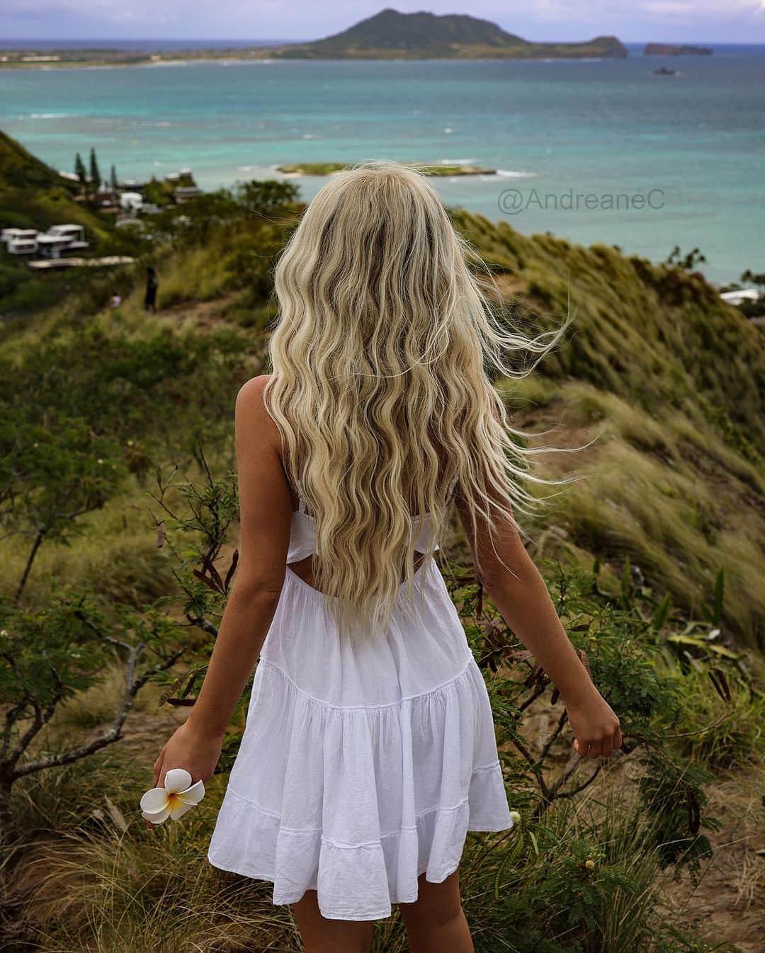 Andreane Chamberlandさんのインスタグラム写真 - (Andreane ChamberlandInstagram)「One day reality will be better than my dreams  Which photo do You like the most? 1,2,3,4,5,6,7,8 ?  #hawai #hawaii #hawaiilife #hawaii🌺 #hawaii🌴 #hawaiilove #whitedress #blondehair」10月12日 5時07分 - andreanec