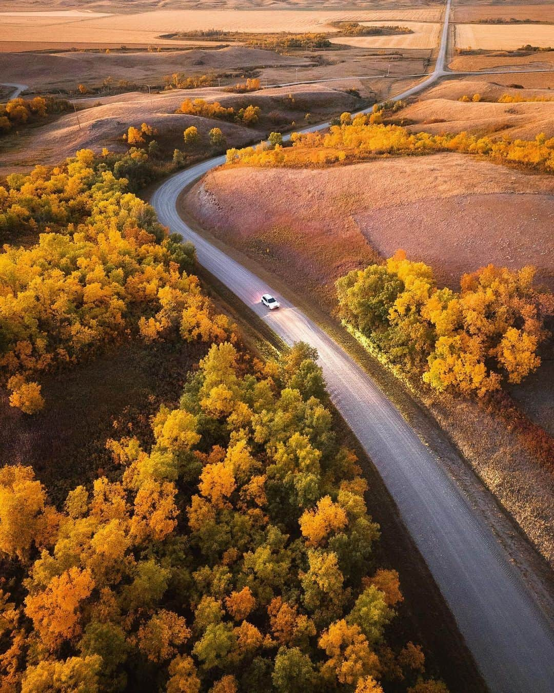 Explore Canadaのインスタグラム：「If every road trip had views like this, nobody would ask if they’re there yet.  🎥: @herry.with.an.e 📍: Qu’appelle Valley, Saskatchewan @tourismsask  #ExploreSask #ExploreCanada  Image description: An aerial view of a long, winding road with a car driving through. Along the two sides of the road are tall trees adorned with warm tones of yellow, orange, and green leaves. Plain, golden fields and hills are seen in the distance.」