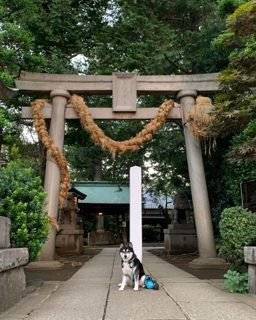 くろのインスタグラム