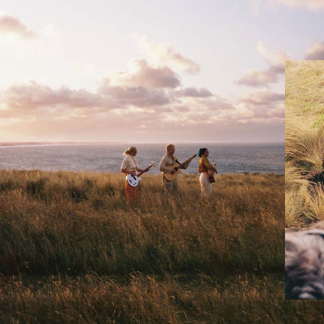 シェパードのインスタグラム：「Someday we’re gonna dance on the sun 🌞   Bts photos: @parenthesy」