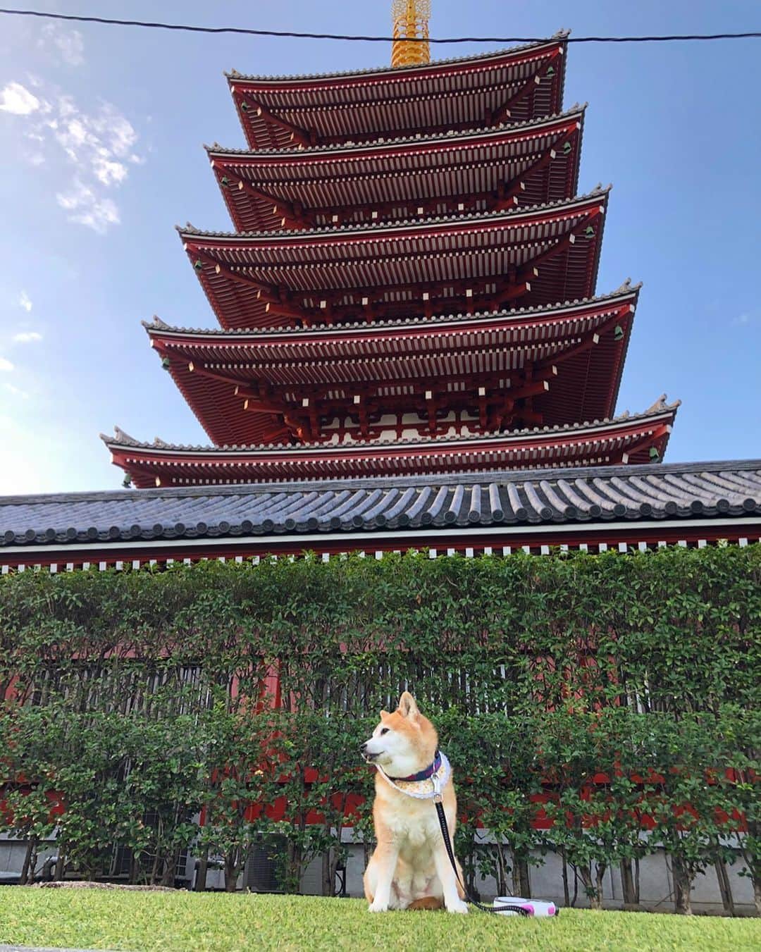 くるみのインスタグラム