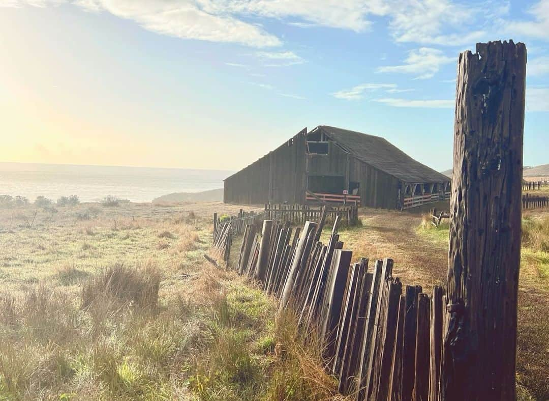 アナベス・ギッシュさんのインスタグラム写真 - (アナベス・ギッシュInstagram)「Two decades ago today, we stood on the rugged and wild cliff-edge of the Sea Ranch Lodge to get married. The sky was exquisitely blue, the temperature a typical Northern Cali October brisk. Friends and family surrounded us, and we said things no one else could hear because the wind carried them out to the sea. Then we had the best party we’ve (still!) ever been to—though how is it our wonderful sons weren’t there!?! Twenty years later, to return and stand on the same ground is humbling. The elements have not changed in their persistence. The barn is more weathered, the coastline more ocean-carved, and windswept. Lol, so are we. Life works hard on us all. But what a brilliant adventure! What gratitude lives in our hearts. Happy Anniversary @donutshoppeproductions」10月12日 7時51分 - annabeth_gish