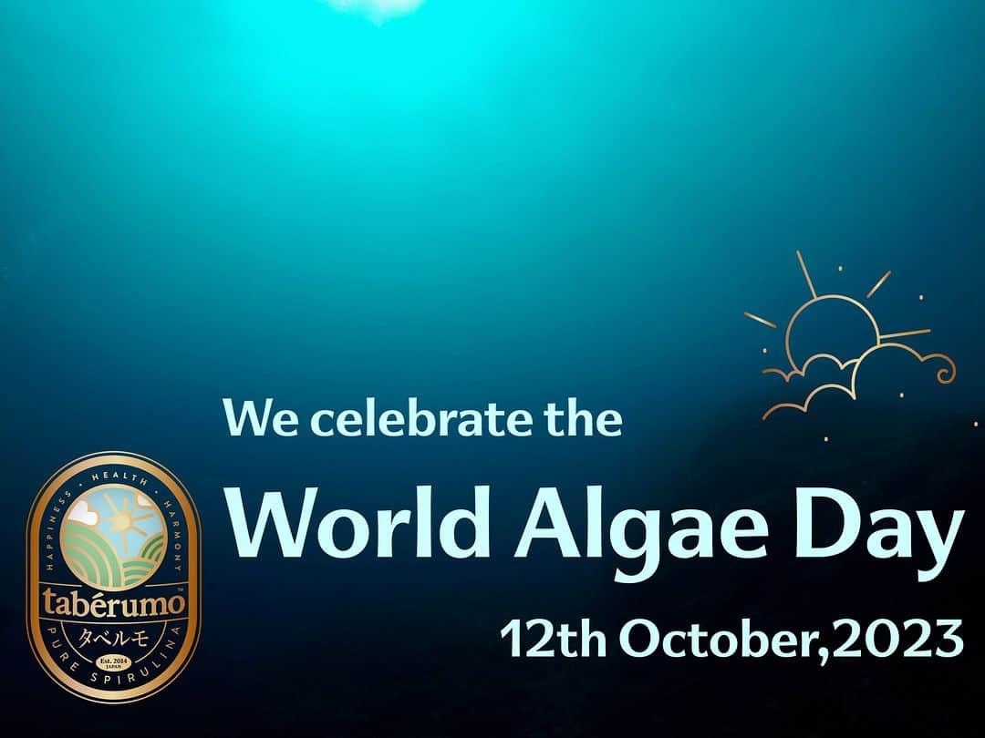 株式会社タベルモ_生_スピルリナのインスタグラム：「本日10月12日は「World Algae Day（ #世界藻類の日）」です。  タベルモにとっては毎日が藻類の日ですが、特にこの日は世界中が藻類を広めるための公式記念日であるため、いつもより声を大きくして藻類の魅力をお伝えしています。  タベルモを既にご愛顧いただいている皆さまには「スピルリナ」は既に身近な存在かと思いますが、藻類にはスピルリナ以外にも実に多くの種類があります。  地球の環境問題や、たんぱく質不足、石油の枯渇など世界には課題が山積しておりますが、藻類、その中でも微細藻類と呼ばれる小さな藻類たちはそれらを解決できると注目されています。  「地球も人も健康に幸せに調和する世界」の実現のためにタベルモが参画している #MATSURIプロジェクト はこの1年で参画企業・機関が大幅に増え、またマレーシアでは世界最大規模の藻類生産設備の稼働が開始いたしました。着実に安心して次の世代へ渡せる未来へと進んでおります。  「食べる藻」はやはり生スピルリナのタベルモが一番ですが、本日は他の藻類の持っているそれぞれのチカラについても関心を寄せていただき、藻類の魅力を改めて感じていただける日となりますように。  ■MATSURIプロジェクトとは https://matsuri.chitose-bio.com/ -------------------------------------------- #カーボンニュートラル #サステナブル #SDGs #スピルリナ #タベルモ #taberumo #spirulina #エシカル #健康 #栄養 #免疫力 #CO2削減 #脱化石 #光合成 #環境 #世界藻類デー #worldalgaeday #matsuri」