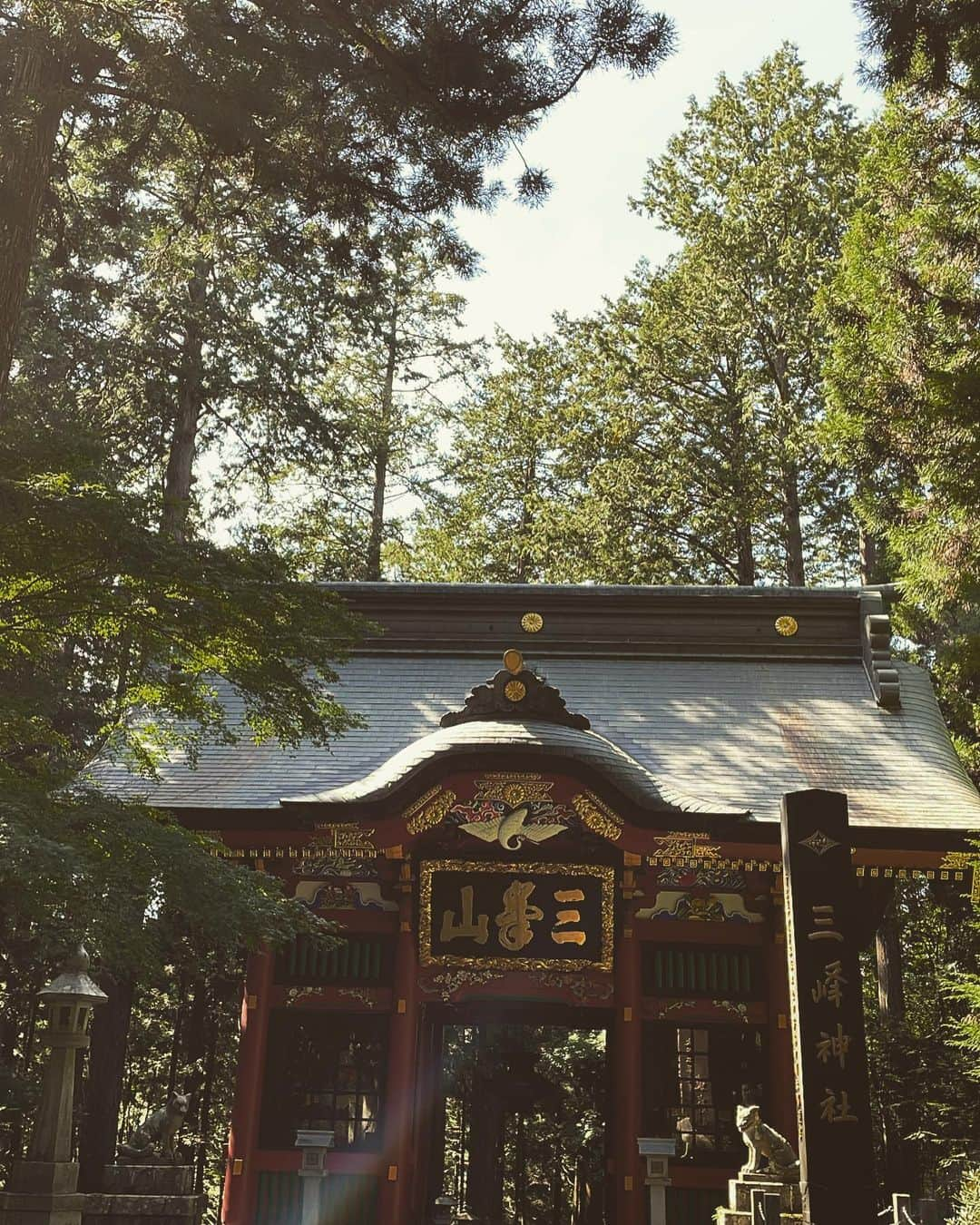 竹下玲奈さんのインスタグラム写真 - (竹下玲奈Instagram)「三峰神社行って参りました✨ いや〜良かったです😳はい ユニクロで大好きな呪術廻戦のTシャツ チノパンも15分くらいで裾上げしてもらってビックリ‼️ ベルトは　@arts_and_science  スニーカー　@adidasoriginals  @uniqlo.japan.store  #uniqlo  #呪術廻戦  #ootd #三峰神社  #adidas」10月12日 8時10分 - renatakeshita