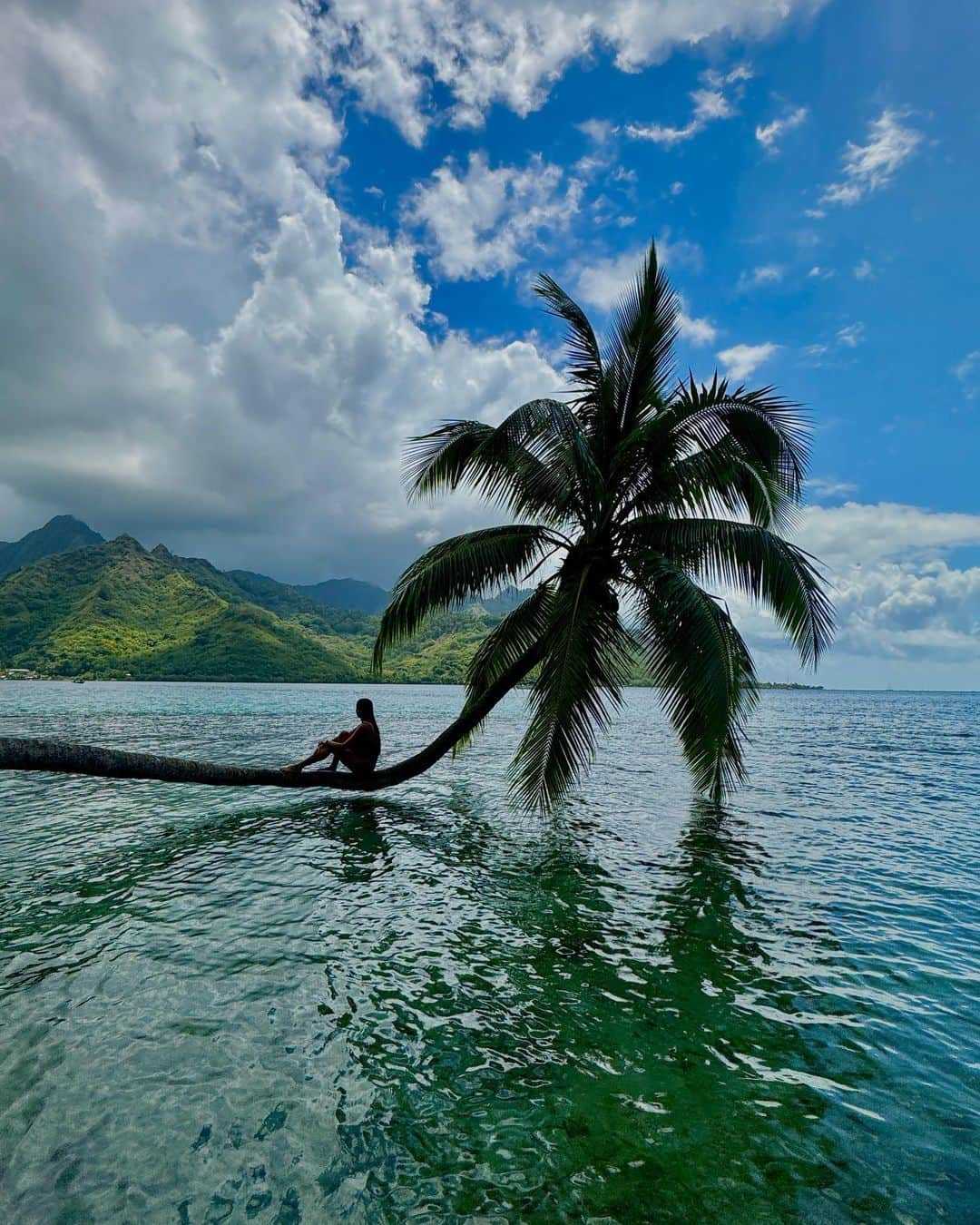 マリア・マニュエルのインスタグラム：「the perfect place 🩵 iphone preview of what’s to come by @morganmaassen」