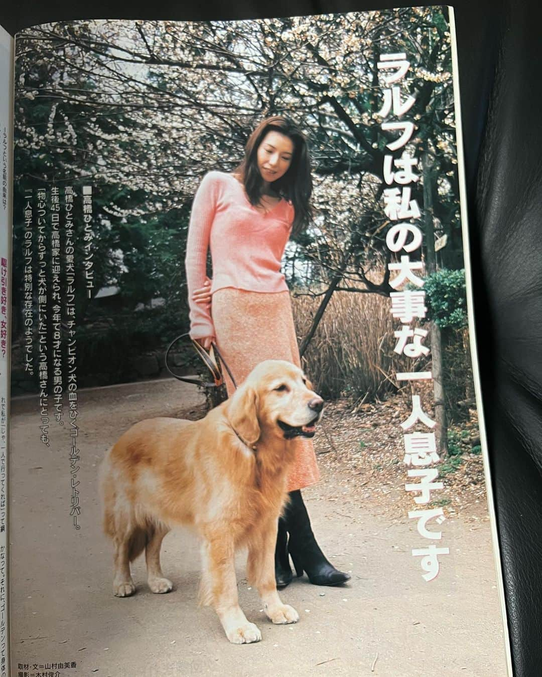 高橋ひとみさんのインスタグラム写真 - (高橋ひとみInstagram)「おはようございます☀ 昔の雑誌シリーズ！  我が家の初代ゴールデンレトリバーの『ラルフ』🎵 名前の由来は私がラルフローレンが好き過ぎて『ラルフ』と命名しました。　  ドラマ『ニューヨーク恋物語2』のロケでニューヨークに滞在しているときによく行ったラルフローレン本店近くのセントラルパークに大型犬がたくさんいて、大型犬って良いなぁと思い、お友達のところにゴールデンの赤ちゃんが産まれたというので会いに行ってラルフと出会いました💓  写真は1997年と2002年のものです😅」10月12日 8時48分 - hitomi_momoe