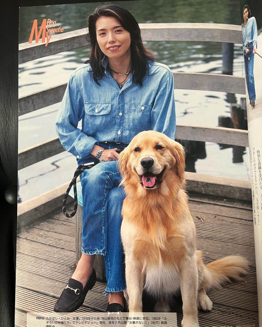 のインスタグラム：「おはようございます☀ 昔の雑誌シリーズ！  我が家の初代ゴールデンレトリバーの『ラルフ』🎵 名前の由来は私がラルフローレンが好き過ぎて『ラルフ』と命名しました。　  ドラマ『ニューヨーク恋物語2』のロケでニューヨークに滞在しているときによく行ったラルフローレン本店近くのセントラルパークに大型犬がたくさんいて、大型犬って良いなぁと思い、お友達のところにゴールデンの赤ちゃんが産まれたというので会いに行ってラルフと出会いました💓  写真は1997年と2002年のものです😅」