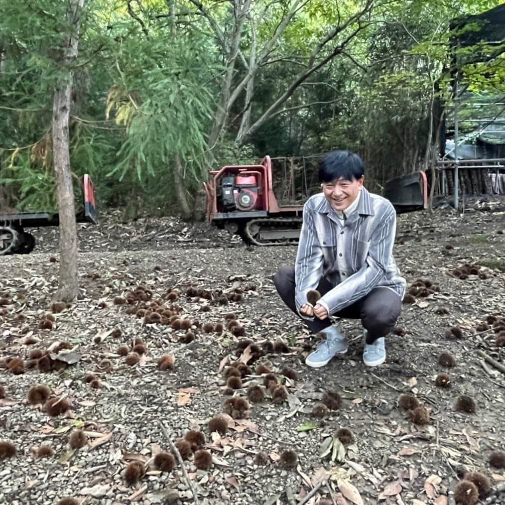 依田司さんのインスタグラム写真 - (依田司Instagram)「10月12日（木） 埼玉県横瀬町の小松沢レジャー農園から。 こちらでは、旬のしいたけ狩りが楽しめます。ハウスと森の中に原木しいたけ狩りが出来る場所があるのですが、こうした国産の原木椎茸は希少になってきています。原木栽培は、旨みが強く癖が少ないためしいたけが苦手な人も克服するケースが多いそう。子供への食育にも良いですよね。 また、溶岩プレートで採ったばかりのしいたけをいただける上、頭上のぶどう狩りも楽しめます。「しいたけ」と「ぶどう」、食いしん坊も万歳ですね。  #小松沢レジャー農園 #BANANAREPUBLIC #バナリパ #依田さん #依田司 #お天気検定 #テレビ朝日 #グッドモーニング #気象予報士 #お天気キャスター #森林インストラクター #グリーンセイバーアドバンス #プロジェクトワイルド #IPCC伝導者 #japan #japantrip #japantravel #unknownjapan #japanAdventure #japanlife #lifeinjapan #instagramjapan #instajapan #療癒 #ilovejapan #weather #weathercaster #weatherforecast」10月12日 8時44分 - tsukasa_yoda