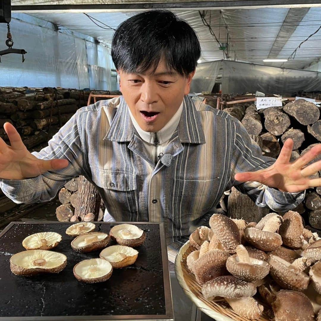 依田司さんのインスタグラム写真 - (依田司Instagram)「10月12日（木） 埼玉県横瀬町の小松沢レジャー農園から。 こちらでは、旬のしいたけ狩りが楽しめます。ハウスと森の中に原木しいたけ狩りが出来る場所があるのですが、こうした国産の原木椎茸は希少になってきています。原木栽培は、旨みが強く癖が少ないためしいたけが苦手な人も克服するケースが多いそう。子供への食育にも良いですよね。 また、溶岩プレートで採ったばかりのしいたけをいただける上、頭上のぶどう狩りも楽しめます。「しいたけ」と「ぶどう」、食いしん坊も万歳ですね。  #小松沢レジャー農園 #BANANAREPUBLIC #バナリパ #依田さん #依田司 #お天気検定 #テレビ朝日 #グッドモーニング #気象予報士 #お天気キャスター #森林インストラクター #グリーンセイバーアドバンス #プロジェクトワイルド #IPCC伝導者 #japan #japantrip #japantravel #unknownjapan #japanAdventure #japanlife #lifeinjapan #instagramjapan #instajapan #療癒 #ilovejapan #weather #weathercaster #weatherforecast」10月12日 8時44分 - tsukasa_yoda