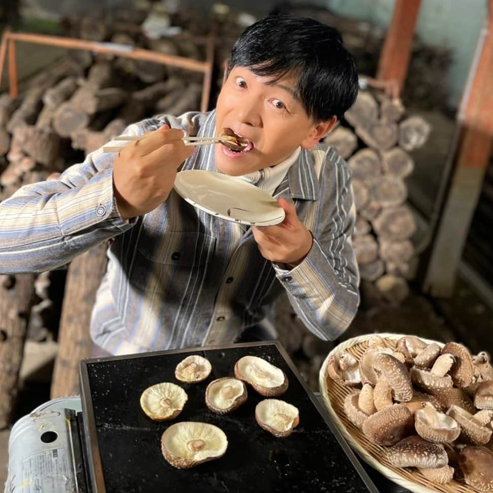 依田司のインスタグラム：「10月12日（木） 埼玉県横瀬町の小松沢レジャー農園から。 こちらでは、旬のしいたけ狩りが楽しめます。ハウスと森の中に原木しいたけ狩りが出来る場所があるのですが、こうした国産の原木椎茸は希少になってきています。原木栽培は、旨みが強く癖が少ないためしいたけが苦手な人も克服するケースが多いそう。子供への食育にも良いですよね。 また、溶岩プレートで採ったばかりのしいたけをいただける上、頭上のぶどう狩りも楽しめます。「しいたけ」と「ぶどう」、食いしん坊も万歳ですね。  #小松沢レジャー農園 #BANANAREPUBLIC #バナリパ #依田さん #依田司 #お天気検定 #テレビ朝日 #グッドモーニング #気象予報士 #お天気キャスター #森林インストラクター #グリーンセイバーアドバンス #プロジェクトワイルド #IPCC伝導者 #japan #japantrip #japantravel #unknownjapan #japanAdventure #japanlife #lifeinjapan #instagramjapan #instajapan #療癒 #ilovejapan #weather #weathercaster #weatherforecast」