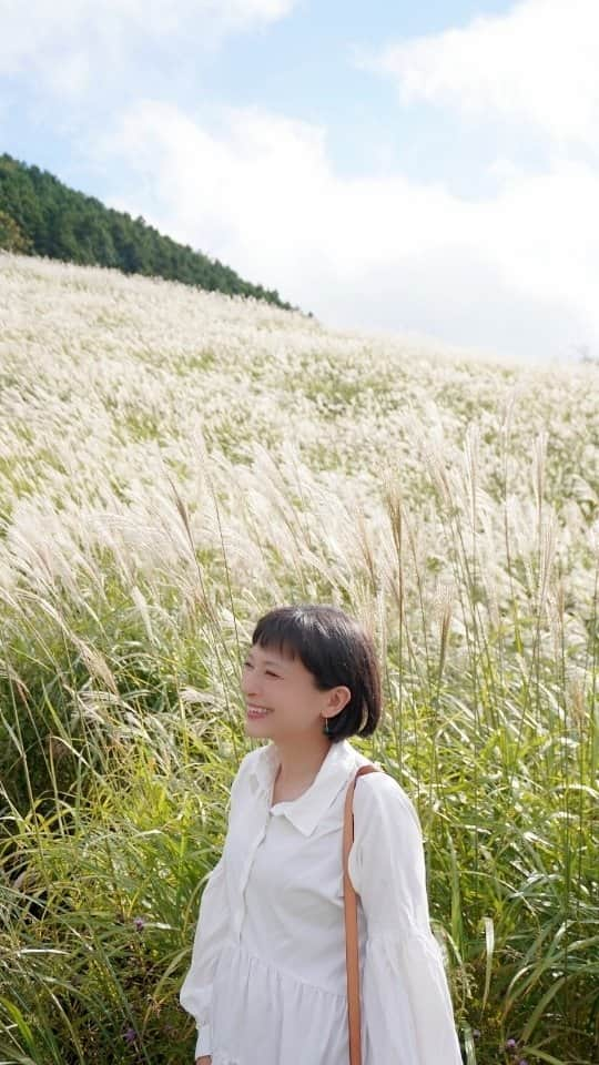 芳美リンのインスタグラム：「髪、バッサリ切りました✃  小顔補正立体カット✃初挑戦(*^^*)  骨格に合わせて、似合うカットを提案してくれます♡  ※小顔に見えスタイルが良く見える ※ボリュームの調整ができる ※形状記憶機能でお手入れが簡単ブローレス ※持ちが良い ※カットだけでトリートメント効果あり  嬉しい効果がたくさん♡  妊娠中なので、マメに美容院に行きにくいので、 長持ちするヘアスタイルをオーダーしました✨  髪も乾かしやすくなり、 キャンプでのお手入れも楽になりそうです♡  帰宅したら、 家族から顔が小さくなっている👀と驚かれました！ 小顔見え効果、かなり体感できました♡  PR @mamishairdressing #恵比寿美容院 #恵比寿美容室 #mamishairdressing #小顔補正立体カット #駅近美容室 #渋谷美容室 #恵比寿駅 #beforeafter#ビフォーアフター」