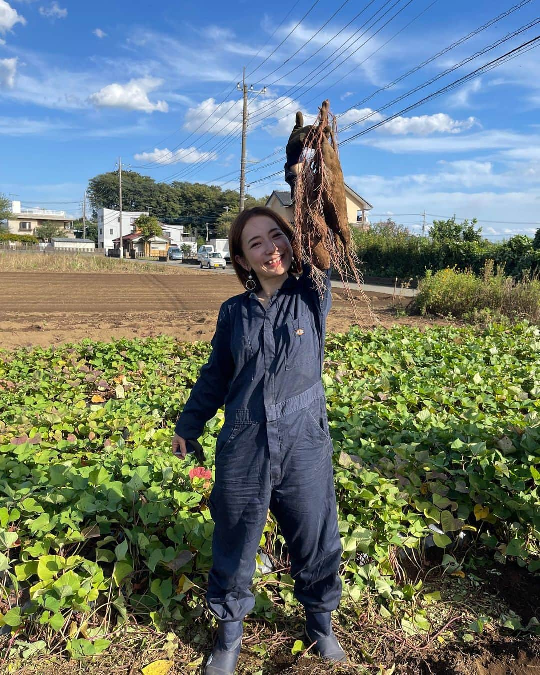 梅澤友里香さんのインスタグラム写真 - (梅澤友里香Instagram)「昨日はお休みを頂いて🙏🏻 ずーっっっと行きたかった 『自然栽培』農法の農家さんの畑へお手伝い🍀  幼馴染が @ak_shizensaibai で働いていて 農家さんに行く前にも いっぱい良い話を聞いたり 実際に食べて、感動したり 農家さんのお話聞いて行きたい欲どんどん出て✨ （結構前から思ってたけどやっと実現😍）  一応私、農業学校3年間行っていて もぅ昔の話で全く戦力にはならないのですが（笑） こういった素人を快く受け入れた 明石農園さん✨ @akashiyasai  本当にありがとうございました🥺🙏🏻  明石農園の方々とお手伝いの皆さん みんな優しくてワイワイお喋りもしながら（ちゃんと働け😂） すっごく楽しい畑時間でした😭✨ 土に触れている人達って圧倒的に良い人が多い気がする✨  土はビックリするくらいふわっふわで さつまいもの収穫の根？の強さにビックリ😳  あとは、紫蘇の実を収穫したり✨ いい匂い過ぎました😭✨  農業の楽しいところを特に選んで お仕事させて頂いたと思うのですが、、、 楽しい200%でした😂🙏🏻✨  農家さんのお仕事って天候に左右されるし （今年は特に暑くて大変だったみたいです💦） 予想通りにいかないことも多い中 作業も大変だったりして 本当に尊い尊敬する職業です🥺 自然の力とそれをサポートしている方々に生かされているなぁ。と。  トンボもいっぱい飛んでて秋を感じたり　 土にいるゲジゲジ虫が可愛いと思ったり😂  農業学校に行ってた時に感じていたのですが、 学校で見る虫は どんなにゲジゲジでも嫌じゃないのに 家とか日常で見る空間の虫はどんなに小さくても嫌。  って感覚があって これって、自然の中での虫は当たり前で 『異物』『異質』ではないから 怖くないし、もはや可愛い。（笑）  けど、コンクリートジャングルの中で見たら 明らかに『異質』な存在だから 不快なんですよねぇ🤔 ただそれだけなんですよねぇ。。  逆に自然の中で『異物』にならない そんな人になりたいなぁ。 と思う訳で。。。🥺  まだまだ書きたい、載せたい写真沢山あって🤭 part2へ続きます✨  一緒に行ったのは大好きな相棒 @m.cookingsalon ちゃん❤️  行きも帰りも喋りっぱなしで 素敵な場所、素敵な人たちに囲まれた 最幸な一日でした✨  スマホはほとんど見ず、 目の前の美しい景色を見れたそんな1日でした✨  ありがとうございました🙏🏻✨  続く、、、❤️  #自然栽培 #自然栽培のなかまたち #明石農園 #農業　  #生きるヨガ #ヨガつぶやき   #健康美 #インナービューティー #哲学 #サスティナブル #メンタルヘルス  #ホリスティックライフ　#ヨガ哲学　  #ヴィーガン　 #ベジタリアン #オーガニック　 #wellness  #ウェルネス  #yoga  #ヨガ #ヨガインストラクター  #美と健康 #beauty #health #ストレッチ #しなやか #ヨガライフ  #naturalbeauty #yogini」10月12日 8時56分 - yurika_umezawa