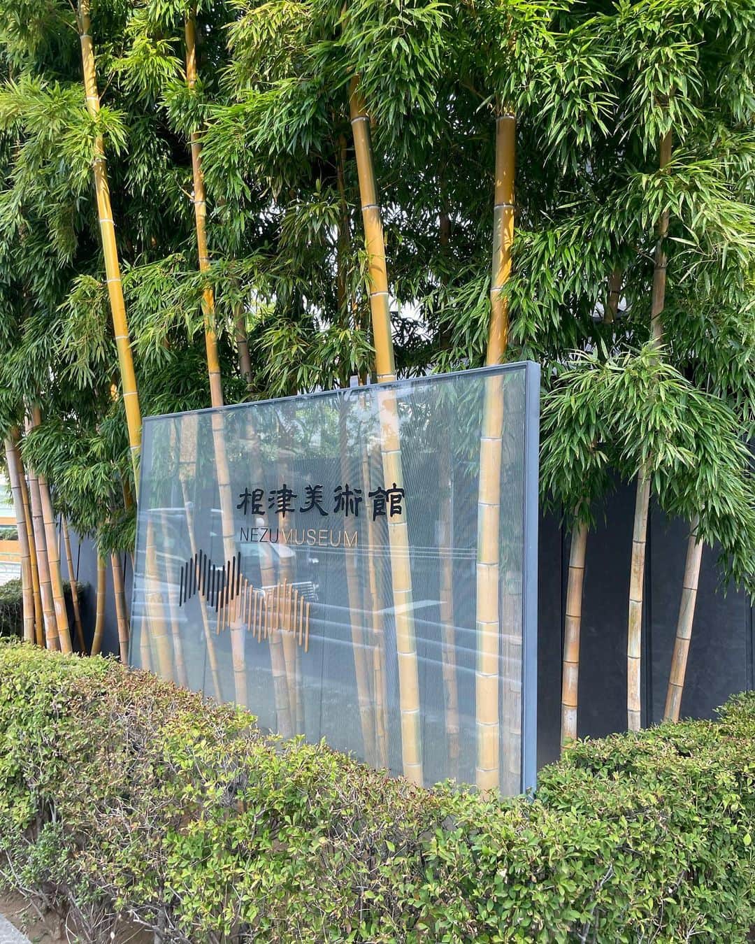 加藤るみさんのインスタグラム写真 - (加藤るみInstagram)「【根津美術館】  東京に住んでいたのに、一回も行ったことなかった根津美術館。  蚊に刺されまくったが、都会の緑を徘徊できて良かった。  根津美術館内のカフェは外を眺めながら休める超絶チルい空間でした。  カフェラテは一日一杯まで。(自分ルール)  #根津美術館」10月12日 18時37分 - rumicinema