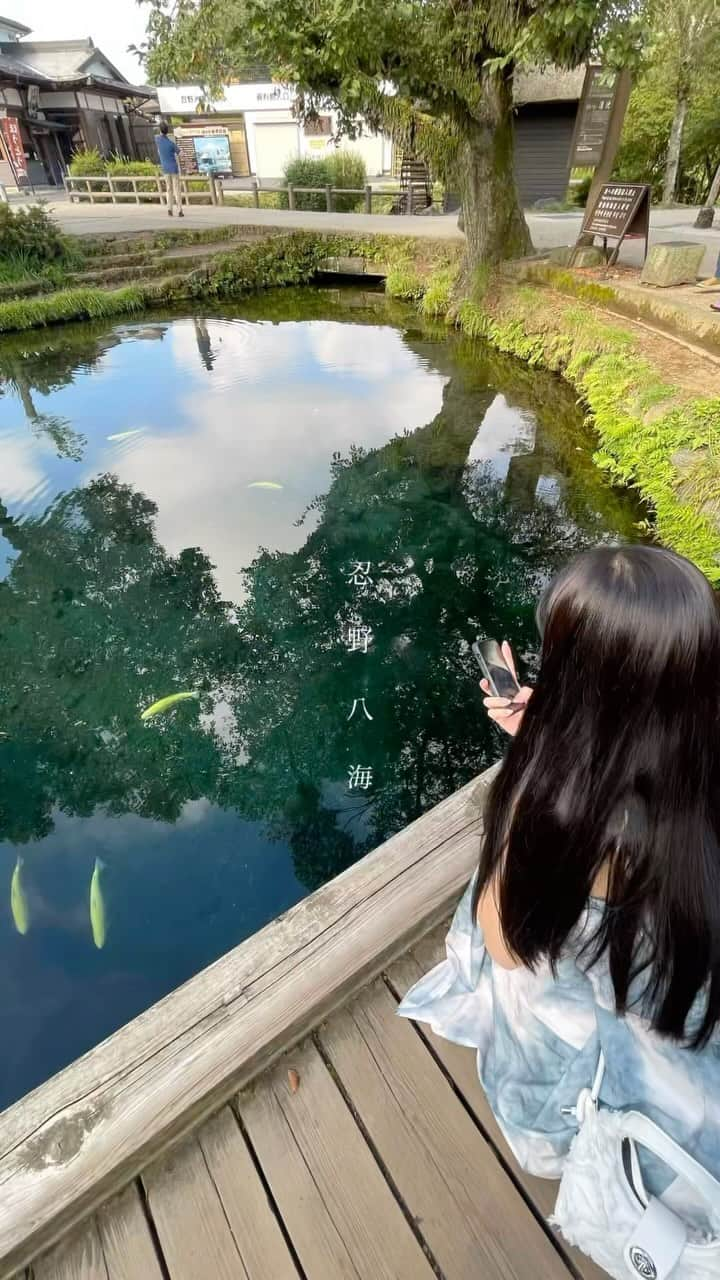 瀬名ひなののインスタグラム：「山梨県のおすすめスポット🌟  富士急ハイランドのすぐ近くにある すごく綺麗な水と星空眺めてるみたいな景色  池は24時間いつでも見れるけど、 お土産や美味しい団子やさんなどもあるのでオープンしてからの午前中に行くのがおすすめ🍡  #忍野八海 #山梨観光 #日本の風景 #森林浴 #山梨旅行 #国内旅行 #絶景 #日本の絶景」