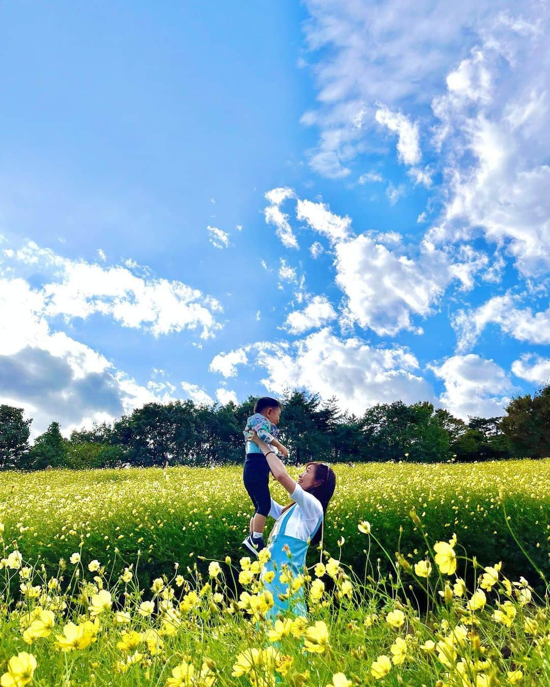 大寺かおりさんのインスタグラム写真 - (大寺かおりInstagram)「先週行った昭和記念公園💛 黄色いコスモスが満開で綺麗でした☺️ . コスコス畑の少し手前にある隈研吾さん設計の カフェにも寄ってみました☕️ いかにもー！な感じでした🪵 . 久しぶりに息子を高い高いをしたら めちゃくちゃ重くなっててビックリ😇 1秒キープするのもやっとでした。 本当すぐ大きくなっちゃうなぁ。 しみじみ。 . . ただいま体調を崩しておりましてお仕事関係の皆様に ご迷惑をおかけしております😢申し訳ありません。 . 体調不良で仕事を休んだのは多分この10年なかったので RSK時代に交通事故にあったとき以来かと。 (打撲&鼻の骨にヒビが入り1日休みをもらいました) . 来週の復帰に向けて、のんびり過ごしつつ (育児は休めないのでちょっと大変ですが🙂) 息子にたくさん癒してもらってます。 . #秋到来 #昭和記念公園 #男の子ママ #1y9m #子連れお出かけ #みんな大好き隈研吾先生 #カフェ」10月12日 18時46分 - kaori_ootera