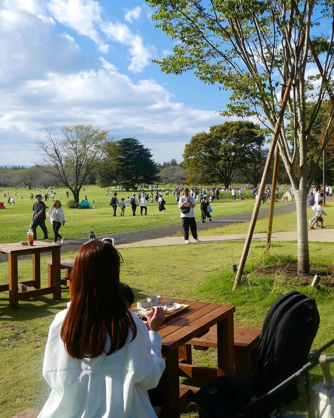 大寺かおりさんのインスタグラム写真 - (大寺かおりInstagram)「先週行った昭和記念公園💛 黄色いコスモスが満開で綺麗でした☺️ . コスコス畑の少し手前にある隈研吾さん設計の カフェにも寄ってみました☕️ いかにもー！な感じでした🪵 . 久しぶりに息子を高い高いをしたら めちゃくちゃ重くなっててビックリ😇 1秒キープするのもやっとでした。 本当すぐ大きくなっちゃうなぁ。 しみじみ。 . . ただいま体調を崩しておりましてお仕事関係の皆様に ご迷惑をおかけしております😢申し訳ありません。 . 体調不良で仕事を休んだのは多分この10年なかったので RSK時代に交通事故にあったとき以来かと。 (打撲&鼻の骨にヒビが入り1日休みをもらいました) . 来週の復帰に向けて、のんびり過ごしつつ (育児は休めないのでちょっと大変ですが🙂) 息子にたくさん癒してもらってます。 . #秋到来 #昭和記念公園 #男の子ママ #1y9m #子連れお出かけ #みんな大好き隈研吾先生 #カフェ」10月12日 18時46分 - kaori_ootera